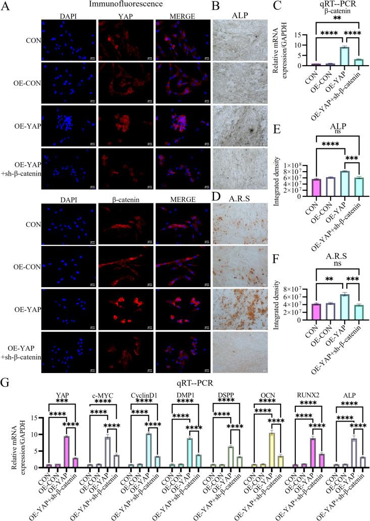 https://cdn.ncbi.nlm.nih.gov/pmc/blobs/b129/12200642/09258d9855e1/pone.0326978.g006.jpg