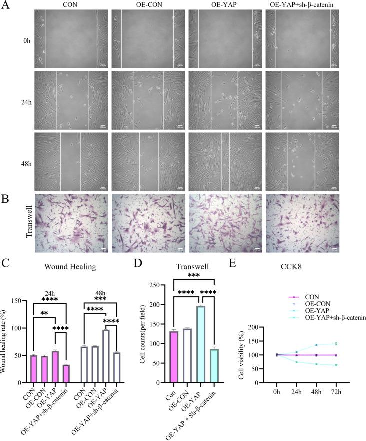 https://cdn.ncbi.nlm.nih.gov/pmc/blobs/b129/12200642/1a9f6d970a39/pone.0326978.g005.jpg