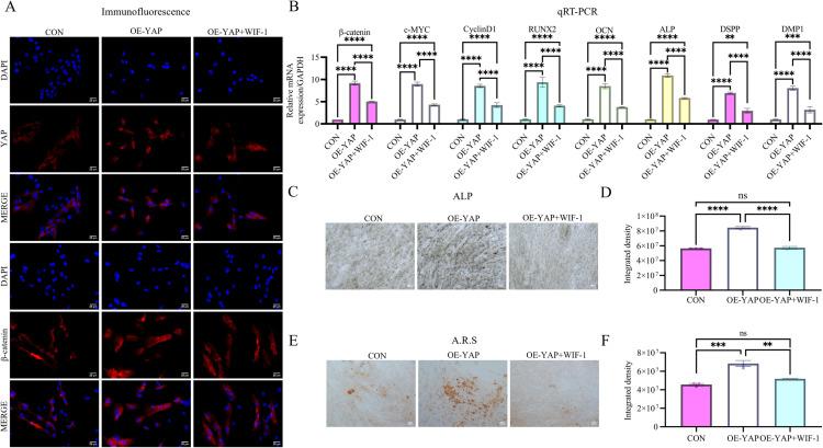 https://cdn.ncbi.nlm.nih.gov/pmc/blobs/b129/12200642/32e230c92e63/pone.0326978.g008.jpg