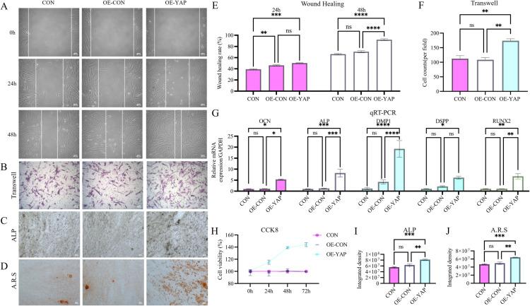 https://cdn.ncbi.nlm.nih.gov/pmc/blobs/b129/12200642/78101a1b5956/pone.0326978.g002.jpg