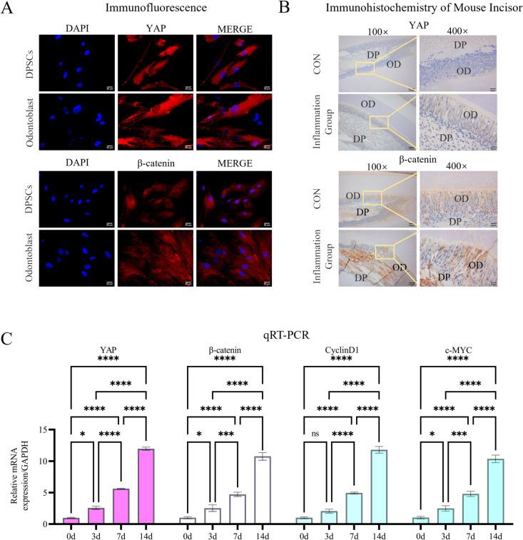 https://cdn.ncbi.nlm.nih.gov/pmc/blobs/b129/12200642/8a1a78e398a3/pone.0326978.g001.jpg