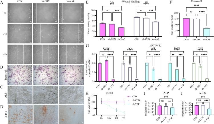 https://cdn.ncbi.nlm.nih.gov/pmc/blobs/b129/12200642/f3ed74722dc0/pone.0326978.g003.jpg