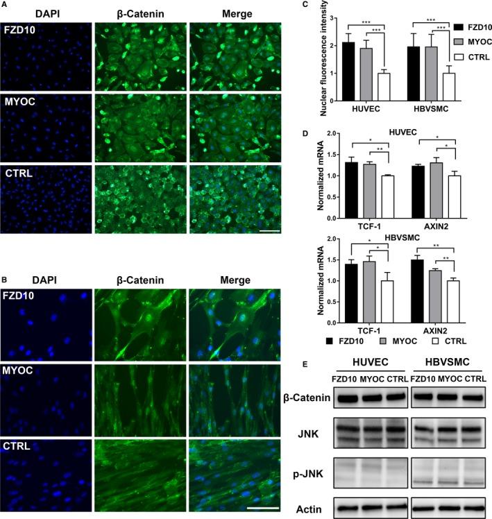 https://cdn.ncbi.nlm.nih.gov/pmc/blobs/b129/6645621/743543d47726/JAH3-8-e012746-g005.jpg