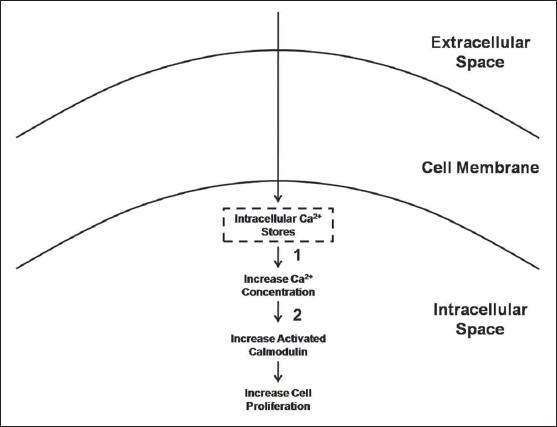 https://cdn.ncbi.nlm.nih.gov/pmc/blobs/b12a/2762253/fa8d0329f855/IJO-43-127-g005.jpg