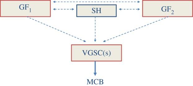 https://cdn.ncbi.nlm.nih.gov/pmc/blobs/b12c/3917359/2c2d9bf0b1cb/rstb20130105-g5.jpg