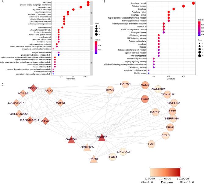 https://cdn.ncbi.nlm.nih.gov/pmc/blobs/b12c/8200670/7fa7bfeb5009/fimmu-12-695865-g001.jpg