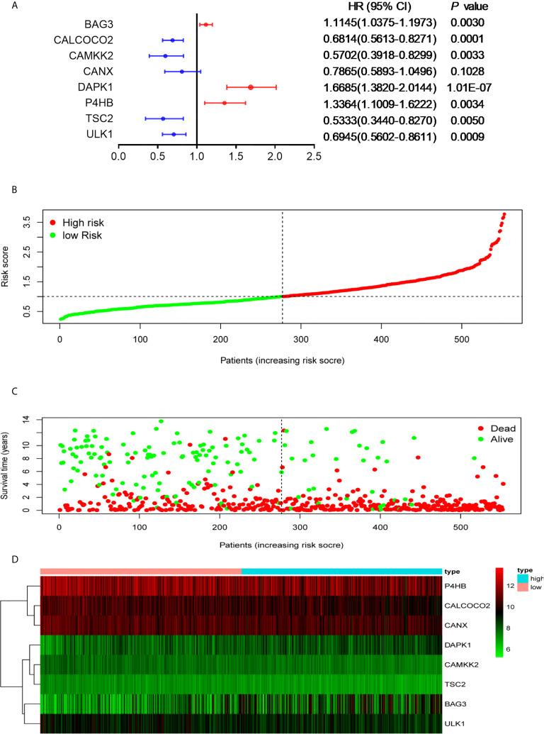 https://cdn.ncbi.nlm.nih.gov/pmc/blobs/b12c/8200670/b1d4979ff685/fimmu-12-695865-g002.jpg