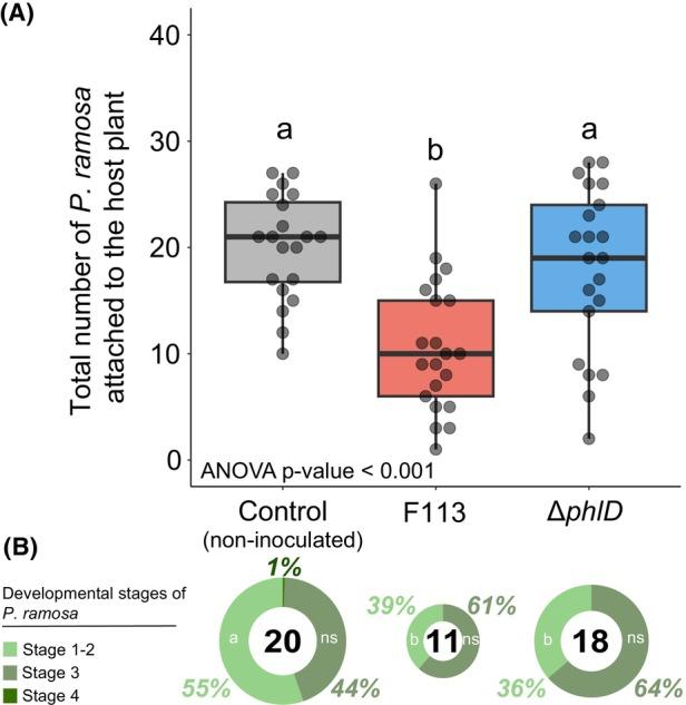 https://cdn.ncbi.nlm.nih.gov/pmc/blobs/b12f/10686154/d0572e018638/MBT2-16-2313-g003.jpg
