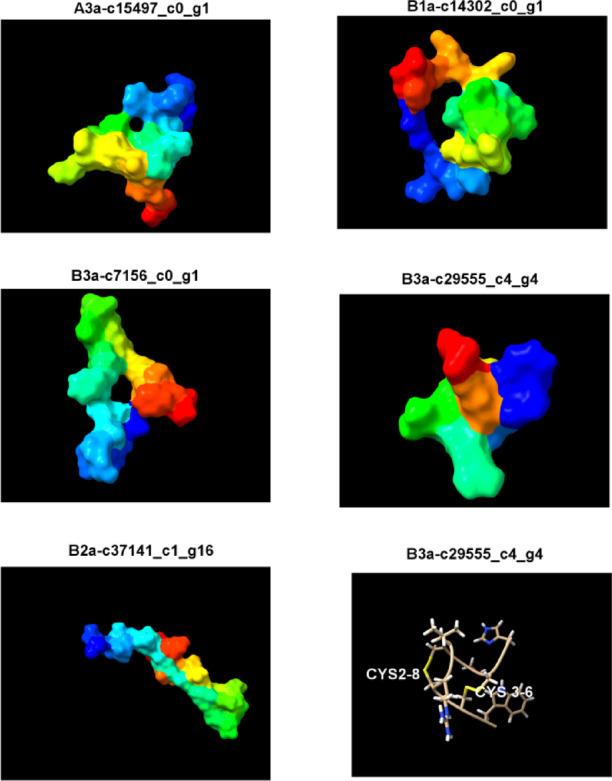https://cdn.ncbi.nlm.nih.gov/pmc/blobs/b130/11978773/21bafb13b410/41598_2025_96976_Fig5_HTML.jpg