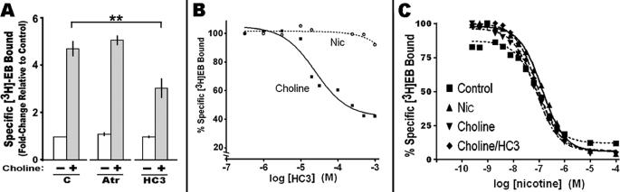 https://cdn.ncbi.nlm.nih.gov/pmc/blobs/b133/2888390/5d5c230f2183/zbc0291020380002.jpg