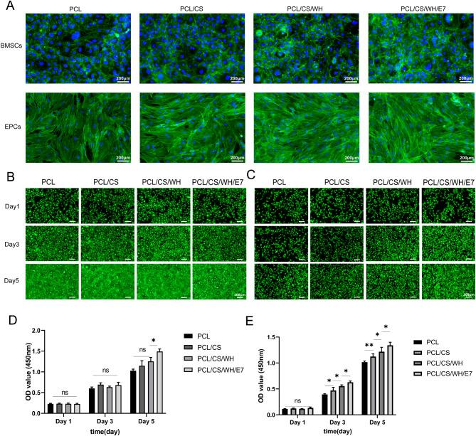 https://cdn.ncbi.nlm.nih.gov/pmc/blobs/b136/12039202/51b9823625fa/13287_2025_4307_Fig2_HTML.jpg