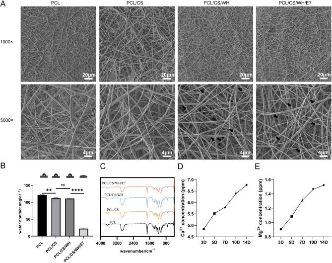 https://cdn.ncbi.nlm.nih.gov/pmc/blobs/b136/12039202/7fd5d9fdcb37/13287_2025_4307_Fig1_HTML.jpg
