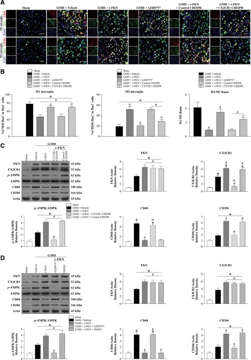 https://cdn.ncbi.nlm.nih.gov/pmc/blobs/b137/10453335/25693fa53af4/str-54-2420-g003.jpg