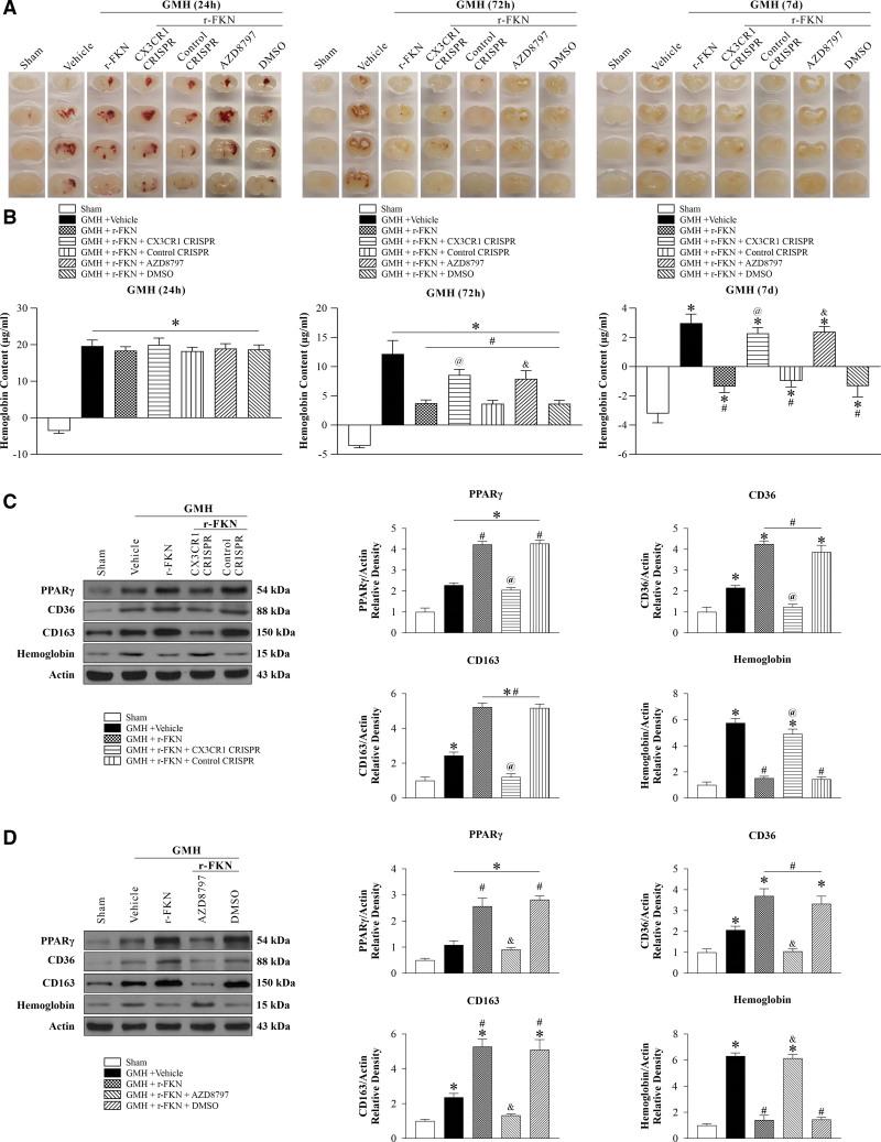 https://cdn.ncbi.nlm.nih.gov/pmc/blobs/b137/10453335/308f5411e760/str-54-2420-g004.jpg