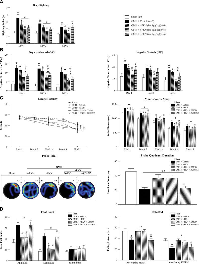 https://cdn.ncbi.nlm.nih.gov/pmc/blobs/b137/10453335/c776bc36c527/str-54-2420-g002.jpg