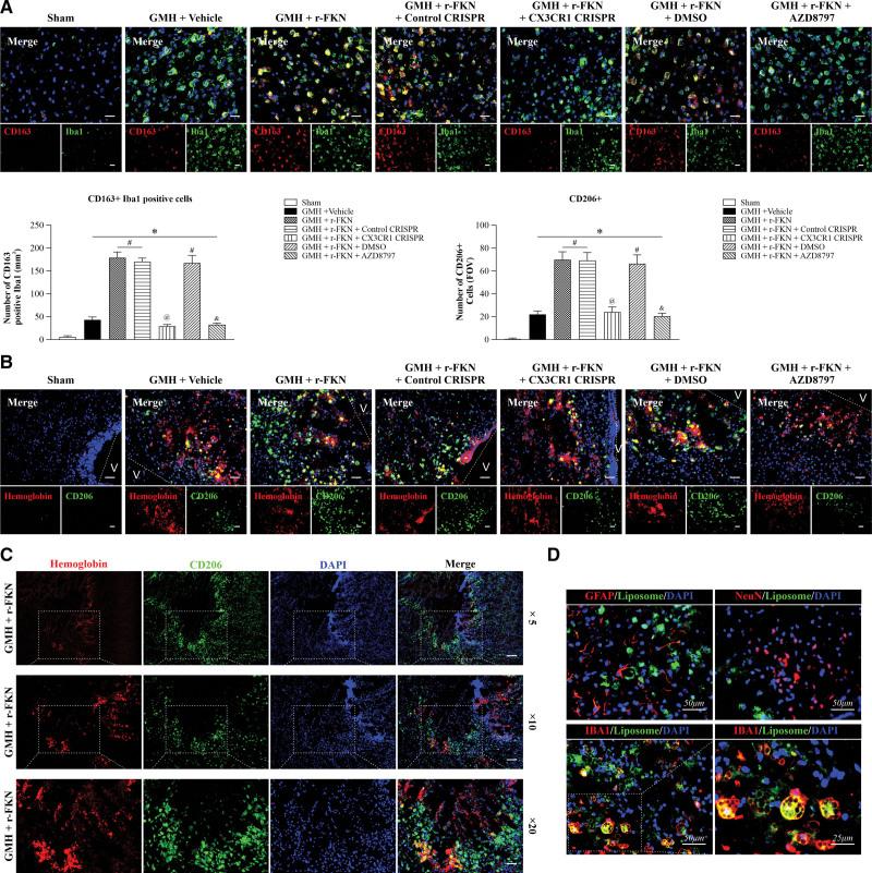 https://cdn.ncbi.nlm.nih.gov/pmc/blobs/b137/10453335/e0435090f112/str-54-2420-g005.jpg