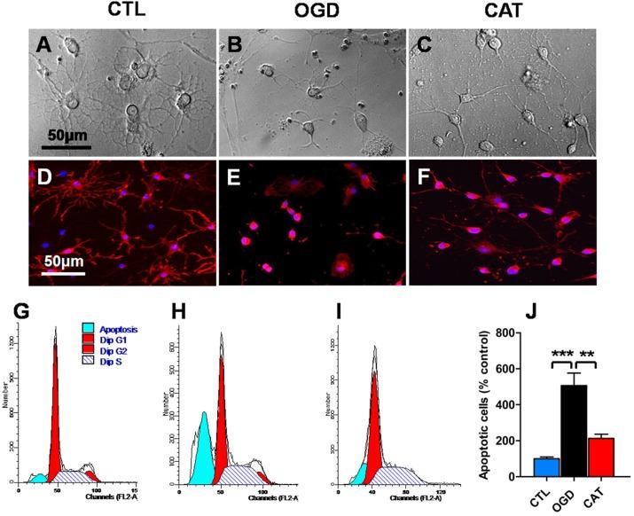 https://cdn.ncbi.nlm.nih.gov/pmc/blobs/b137/5166484/268e5909806f/ijbsv12p1415g001.jpg