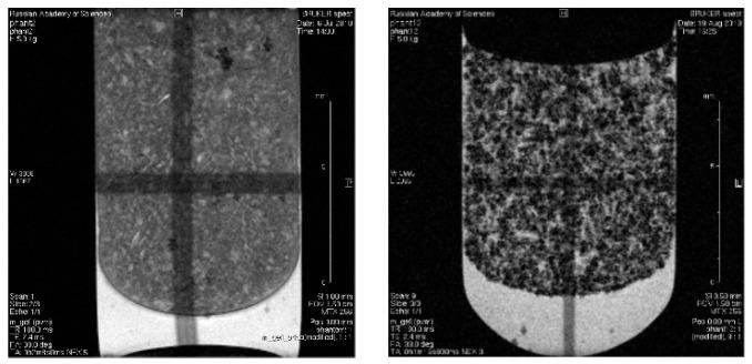 https://cdn.ncbi.nlm.nih.gov/pmc/blobs/b138/10296438/5302c61b2b6c/biosensors-13-00624-g012.jpg