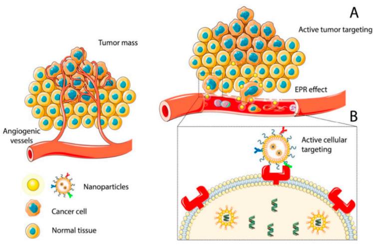 https://cdn.ncbi.nlm.nih.gov/pmc/blobs/b139/10459055/0de5eab6b85c/nanomaterials-13-02380-g001.jpg