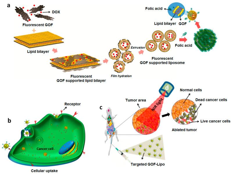 https://cdn.ncbi.nlm.nih.gov/pmc/blobs/b139/10459055/b1405f209fb1/nanomaterials-13-02380-g003.jpg