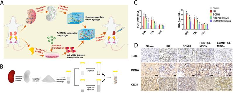https://cdn.ncbi.nlm.nih.gov/pmc/blobs/b139/11528235/9dc45c66f143/gr6.jpg