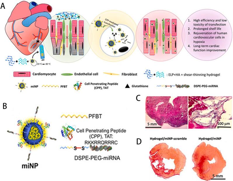 https://cdn.ncbi.nlm.nih.gov/pmc/blobs/b139/11528235/fed10c4e6a5b/gr4.jpg