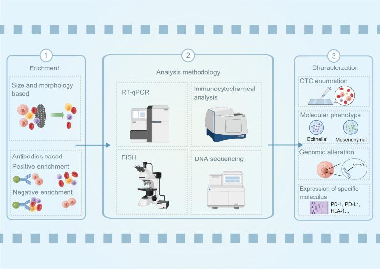 https://cdn.ncbi.nlm.nih.gov/pmc/blobs/b139/9942319/8213fdc87cda/12943_2023_1745_Fig3_HTML.jpg
