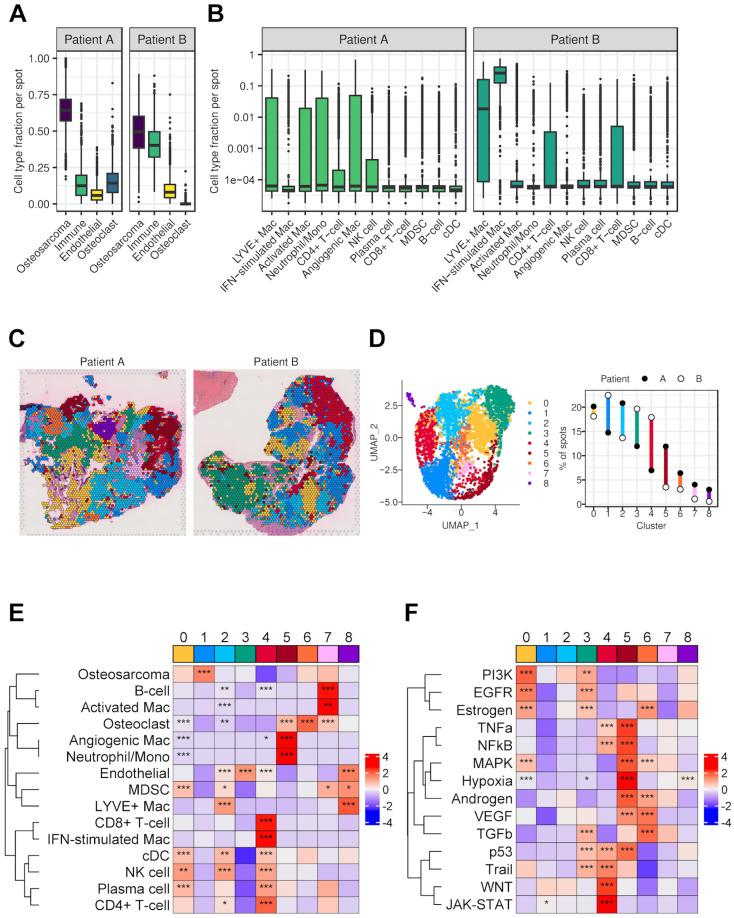 https://cdn.ncbi.nlm.nih.gov/pmc/blobs/b13c/12248827/470524d05cb5/cancers-17-02117-g006.jpg