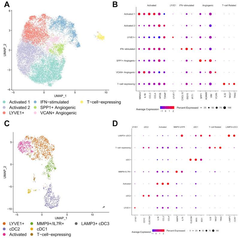https://cdn.ncbi.nlm.nih.gov/pmc/blobs/b13c/12248827/508ce17e86b4/cancers-17-02117-g002.jpg