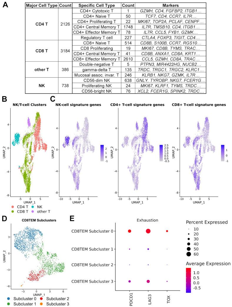 https://cdn.ncbi.nlm.nih.gov/pmc/blobs/b13c/12248827/e061e96bc6f9/cancers-17-02117-g004.jpg