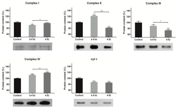 https://cdn.ncbi.nlm.nih.gov/pmc/blobs/b13d/7730624/3cb78c3b2f84/ijms-21-09204-g003.jpg