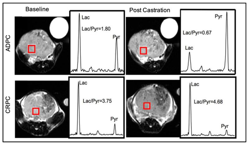 https://cdn.ncbi.nlm.nih.gov/pmc/blobs/b13e/10340474/9e306093ae03/cancers-15-03473-g002.jpg