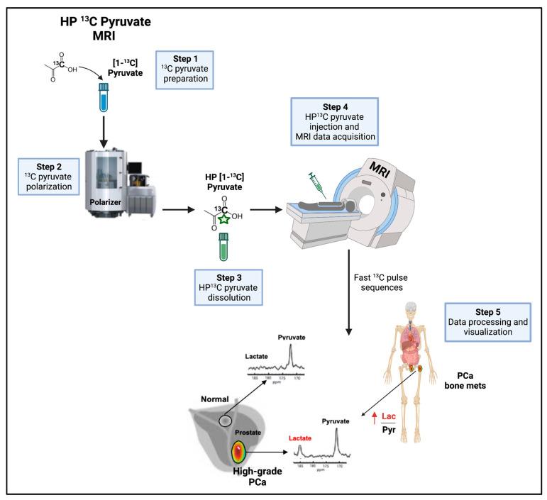 https://cdn.ncbi.nlm.nih.gov/pmc/blobs/b13e/10340474/f9f3a67dcd52/cancers-15-03473-g007.jpg