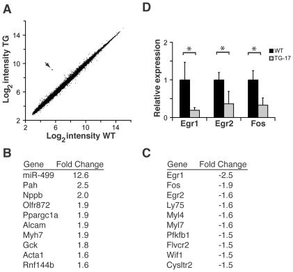 https://cdn.ncbi.nlm.nih.gov/pmc/blobs/b13f/3090396/d2bab1ea8c86/pone.0019481.g005.jpg