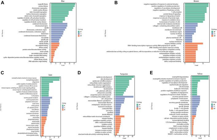 https://cdn.ncbi.nlm.nih.gov/pmc/blobs/b141/8762241/61b6e98144db/fgene-12-781589-g005.jpg