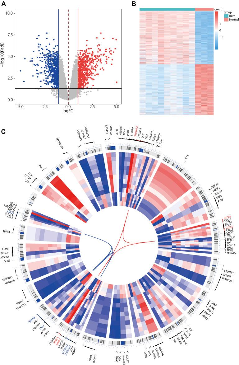 https://cdn.ncbi.nlm.nih.gov/pmc/blobs/b141/8762241/66d797c2d254/fgene-12-781589-g002.jpg