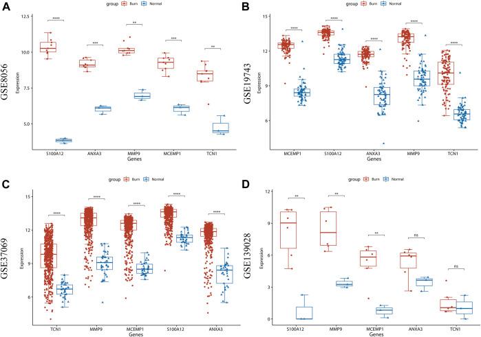 https://cdn.ncbi.nlm.nih.gov/pmc/blobs/b141/8762241/772aa0ec13e8/fgene-12-781589-g008.jpg