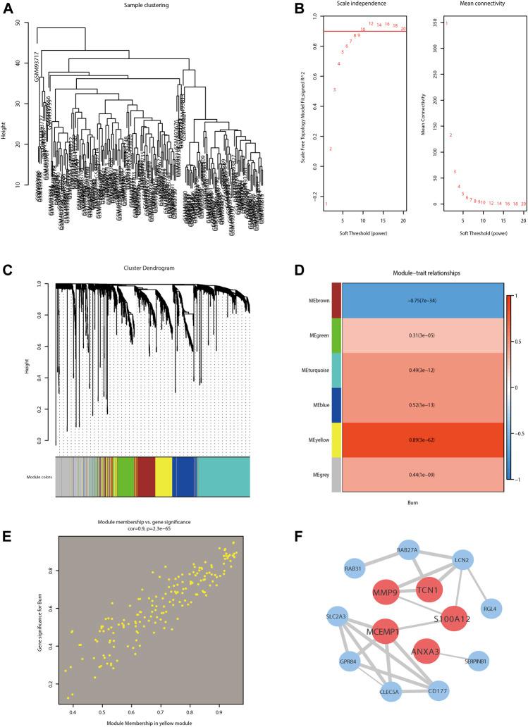 https://cdn.ncbi.nlm.nih.gov/pmc/blobs/b141/8762241/f863f891e4d9/fgene-12-781589-g004.jpg
