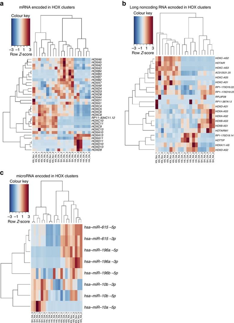 https://cdn.ncbi.nlm.nih.gov/pmc/blobs/b142/5376654/e457139440e6/ncomms14852-f2.jpg