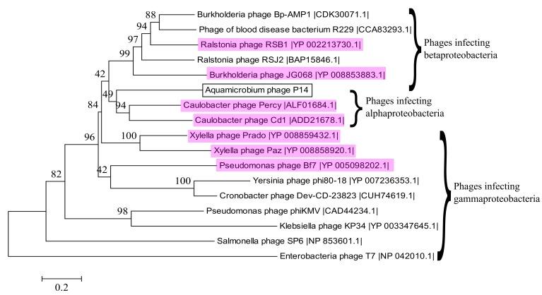 https://cdn.ncbi.nlm.nih.gov/pmc/blobs/b143/5295034/a36bf4eb4ba0/genes-08-00040-g005.jpg