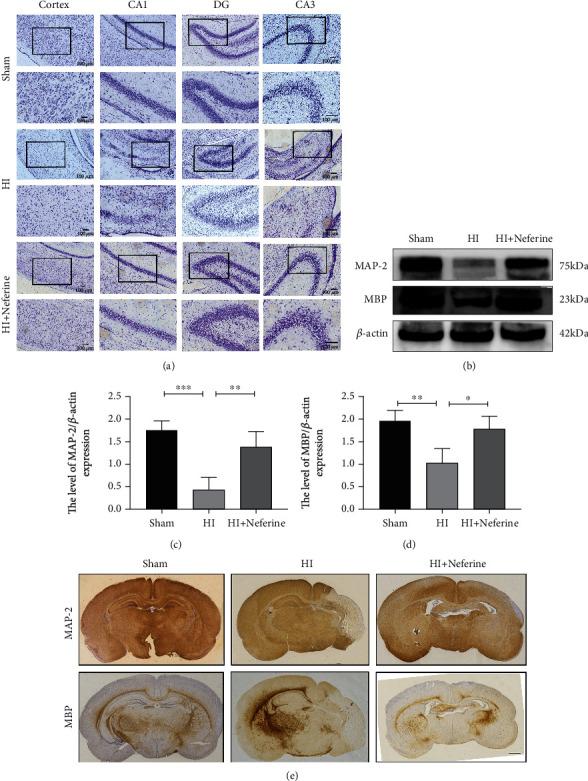 https://cdn.ncbi.nlm.nih.gov/pmc/blobs/b143/8128543/32096b588237/OMCL2021-6654954.002.jpg