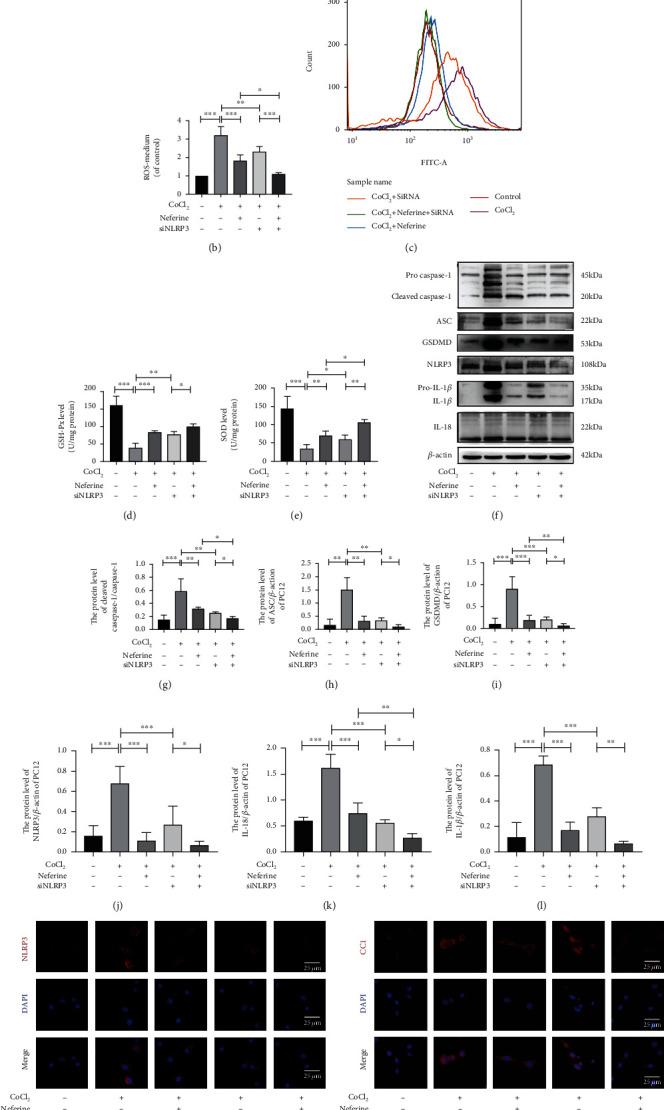 https://cdn.ncbi.nlm.nih.gov/pmc/blobs/b143/8128543/8556aa469666/OMCL2021-6654954.006.jpg
