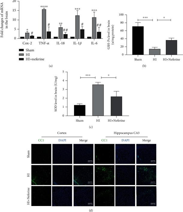 https://cdn.ncbi.nlm.nih.gov/pmc/blobs/b143/8128543/a8618a245190/OMCL2021-6654954.003.jpg