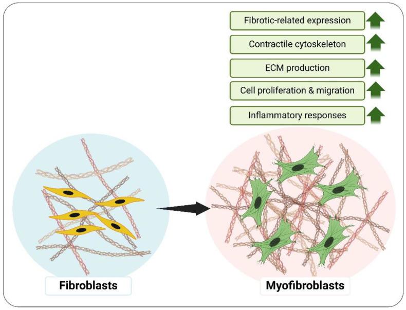 https://cdn.ncbi.nlm.nih.gov/pmc/blobs/b146/11946729/558436b496d5/polymers-17-00822-g002.jpg