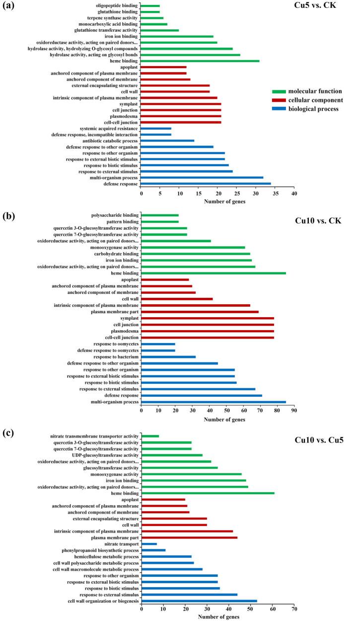 https://cdn.ncbi.nlm.nih.gov/pmc/blobs/b147/11554555/afc0a20c8ed8/j_biol-2022-0953-fig004.jpg