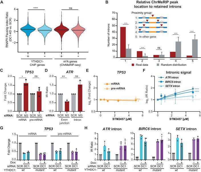 https://cdn.ncbi.nlm.nih.gov/pmc/blobs/b148/11329685/7ea4646bd6b2/44318_2024_153_Fig5_HTML.jpg