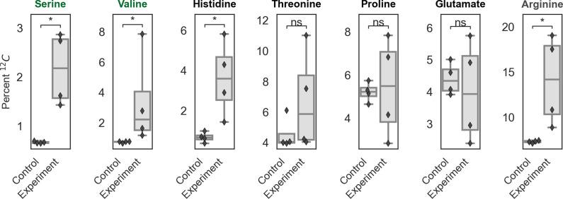 https://cdn.ncbi.nlm.nih.gov/pmc/blobs/b148/7714395/09162c39dfad/elife-59882-fig6-figsupp1.jpg