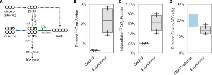 https://cdn.ncbi.nlm.nih.gov/pmc/blobs/b148/7714395/ba2fb3c084e1/elife-59882-fig6-figsupp2.jpg