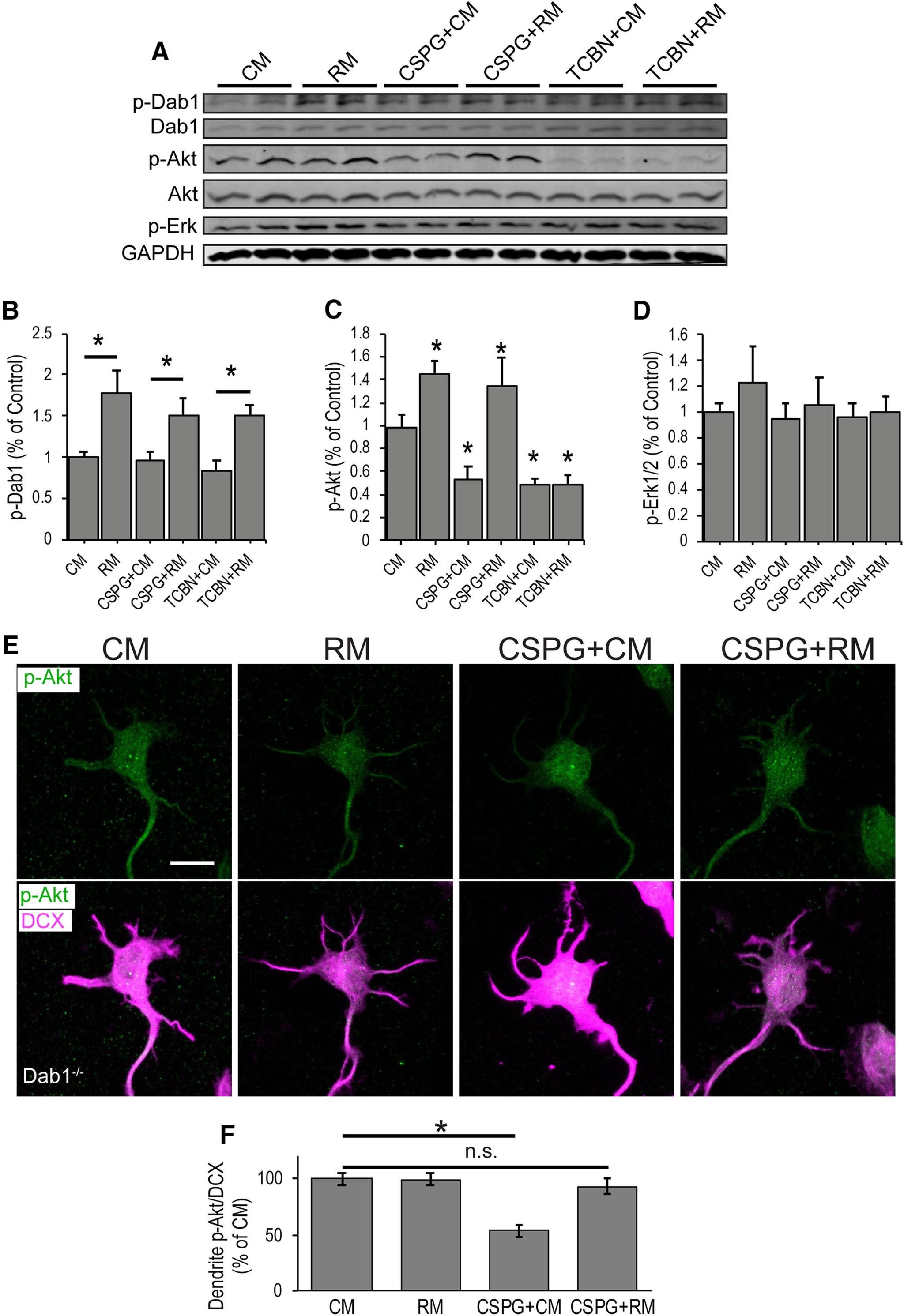 https://cdn.ncbi.nlm.nih.gov/pmc/blobs/b14b/7393641/5cfc827b6dd4/SN-ENUJ200172F004.jpg