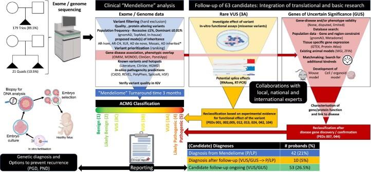 https://cdn.ncbi.nlm.nih.gov/pmc/blobs/b14d/10333122/577a97825f07/41591_2022_2142_Fig8_ESM.jpg